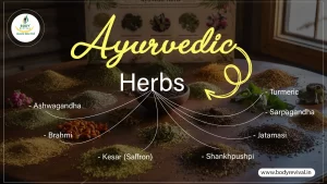 Ayurvedic herbs for mental health