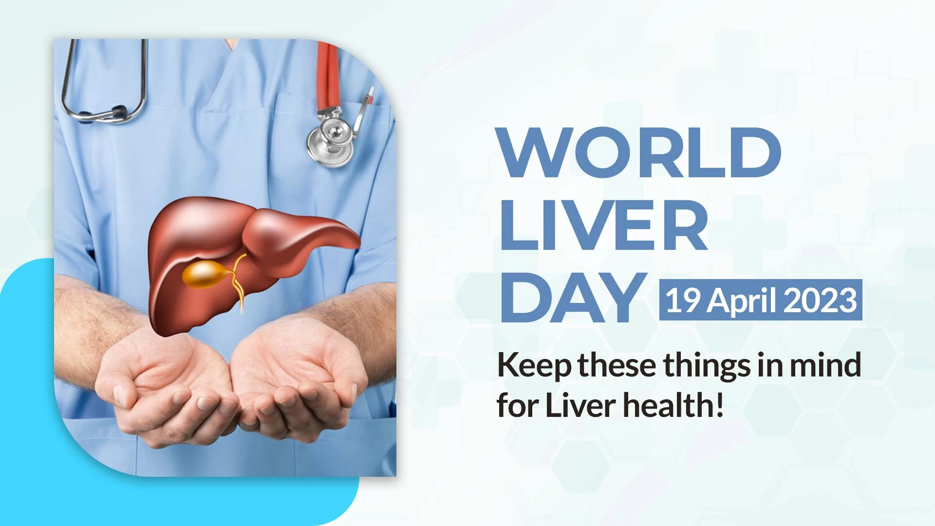 World Liver Day 2024 Tips For A Healthy Liver Body Revival 4853