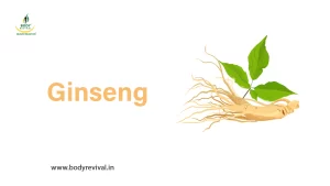 Ginseng as a natural energy booster