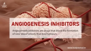 Angiogenesis Inhibitors for cancer treatment