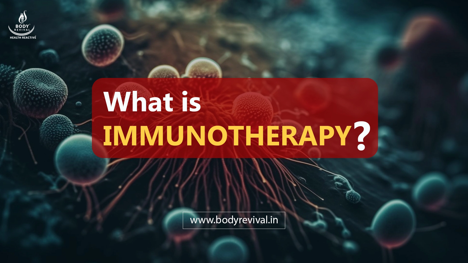 What is Immunotherapy for cancer? Types and SideEffects Body Revival