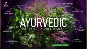 Ayurvedic herbs for kidney health