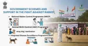 Rabies in India: Why It Still Kills and What to do! 2 Support in the Fight Against Rabies